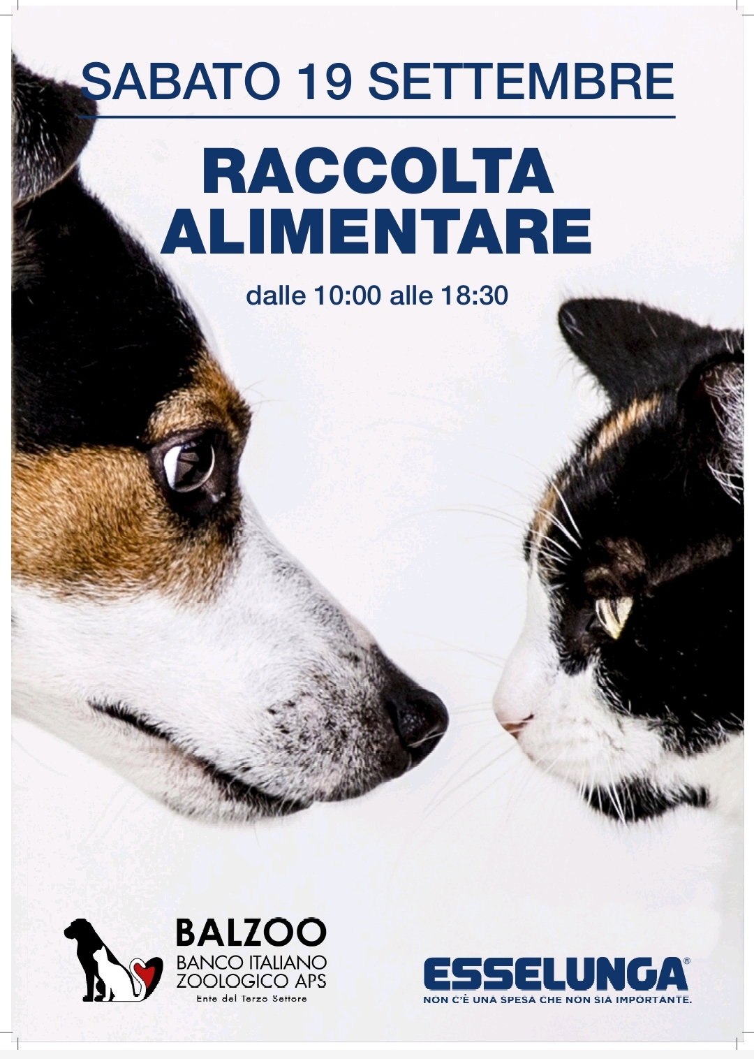 Locandina della raccolta alimentare del 19 settembre