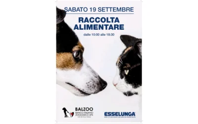 Sabato 19 settembre: raccolta alimentare per cani e gatti all’Esselunga di Novoli